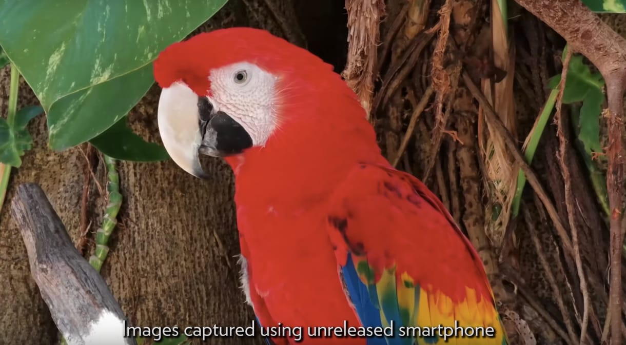 Ezt a videót már a Huawei P30 Próval forgathatták, és lenyűgöző lett a végeredmény