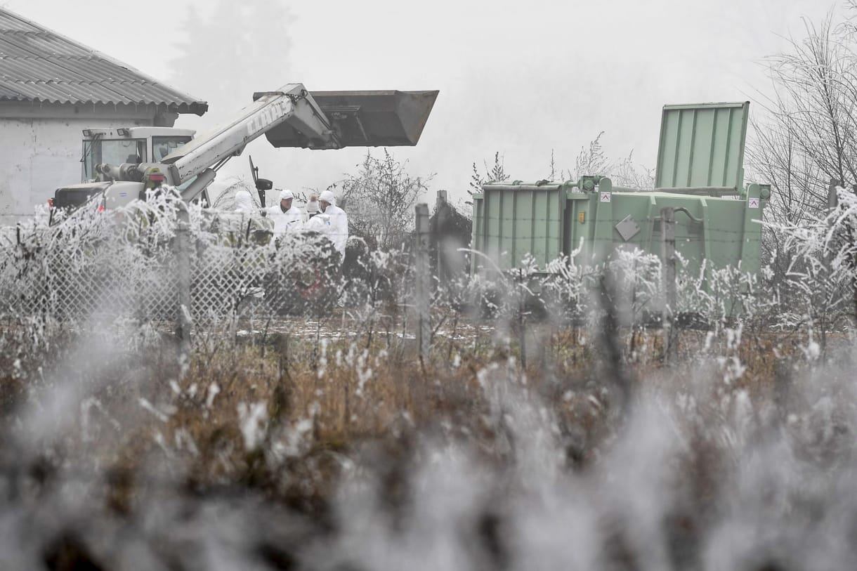 Most először fertőzött meg embert a madárinfluenza H3N8-as típusa