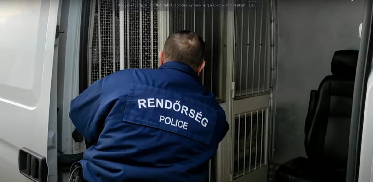 Elfogták az erdőtelki besurranót