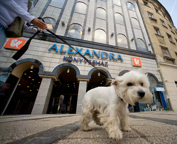 A NAV is lecsapott az Alexandrára, átjátszhatták a vagyont