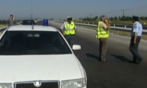 Több millió béka a sztrádán - videó