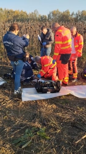 Öngyilkos akart lenni egy férfi, drónnal találta meg a rendőrség a napraforgó tábla közepén