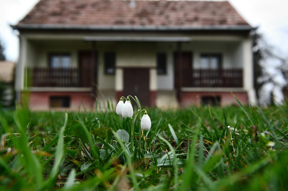 Nagyon lassan jön a tavasz. De jön. Addig pedig bőrig ázunk