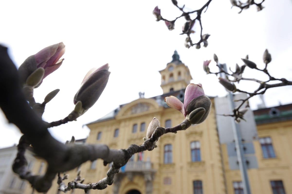 Biomassza-erőmű és simicskázás miatt áll a bál Szegeden