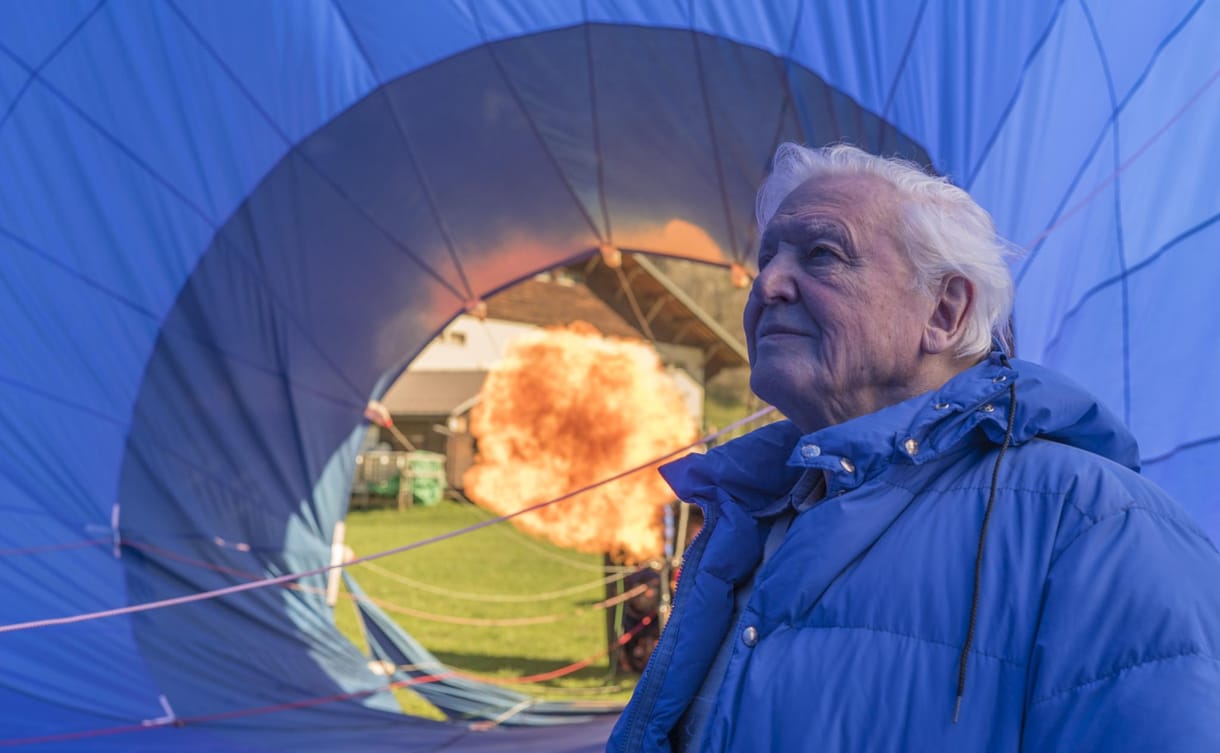 Csodálatos videóval tiszteleg a BBC a 92 éves David Attenborough előtt