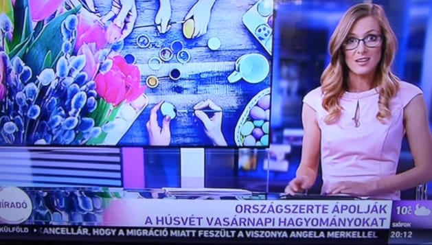Videó: Ezért a köztévés bakiért mi kérünk elnézést