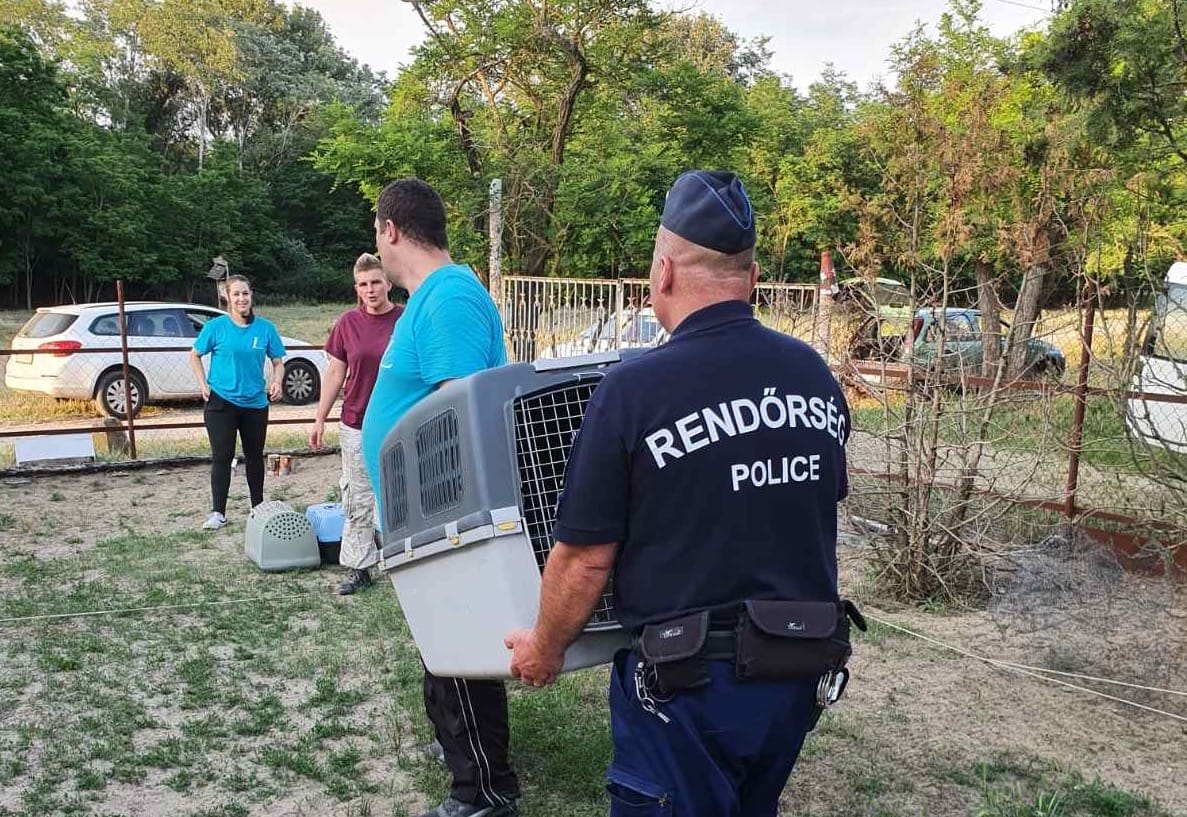 Még a rendőröknek is sok volt a szenvedő kutyák látványa