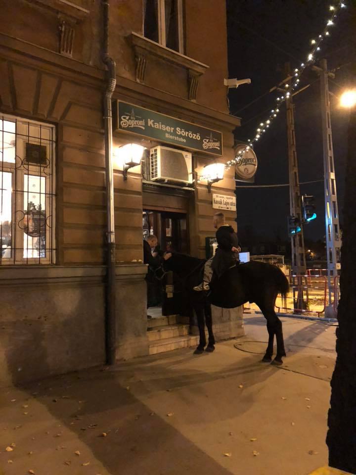 Ilyen egy igazi pesti talponálLÓ