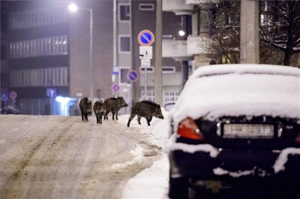 Egyre csak lövik őket, mégis mind többen vannak