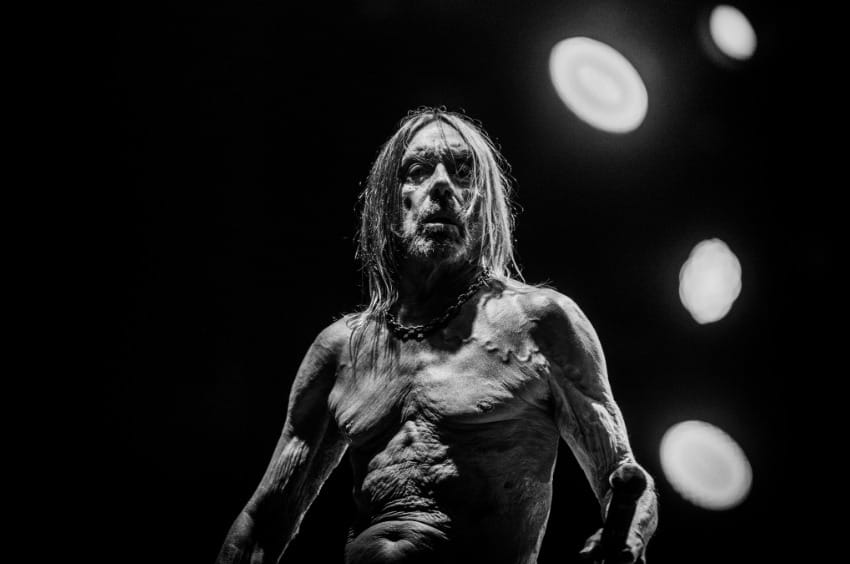 Nem csak a farokméregetés miatt különleges Iggy Pop új nagylemeze