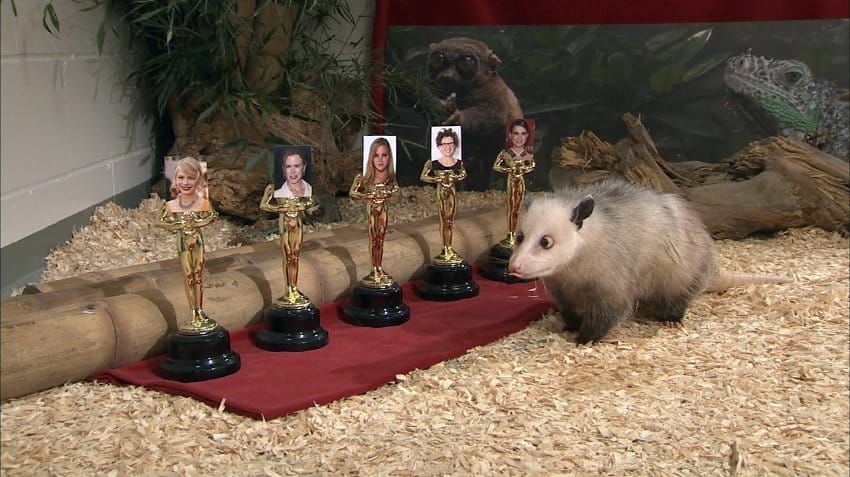 Ez állati: bejött bandzsa Heidi jóslata