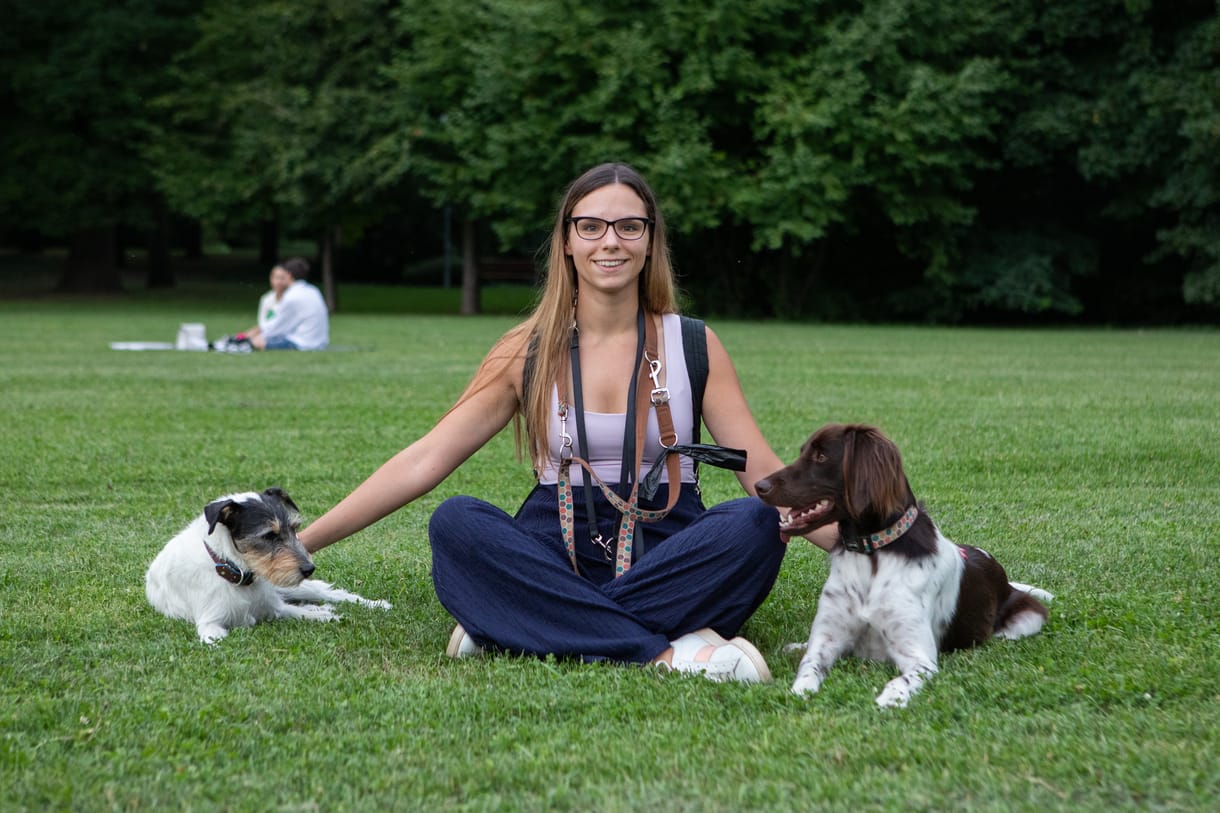A macskalelkű siba inutól a gördeszkázó border collie-ig – fotósorozat Budapest kutyáiról