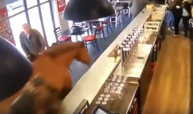 Ló ügetett be a bárba, volt is nagy ijedség – videó