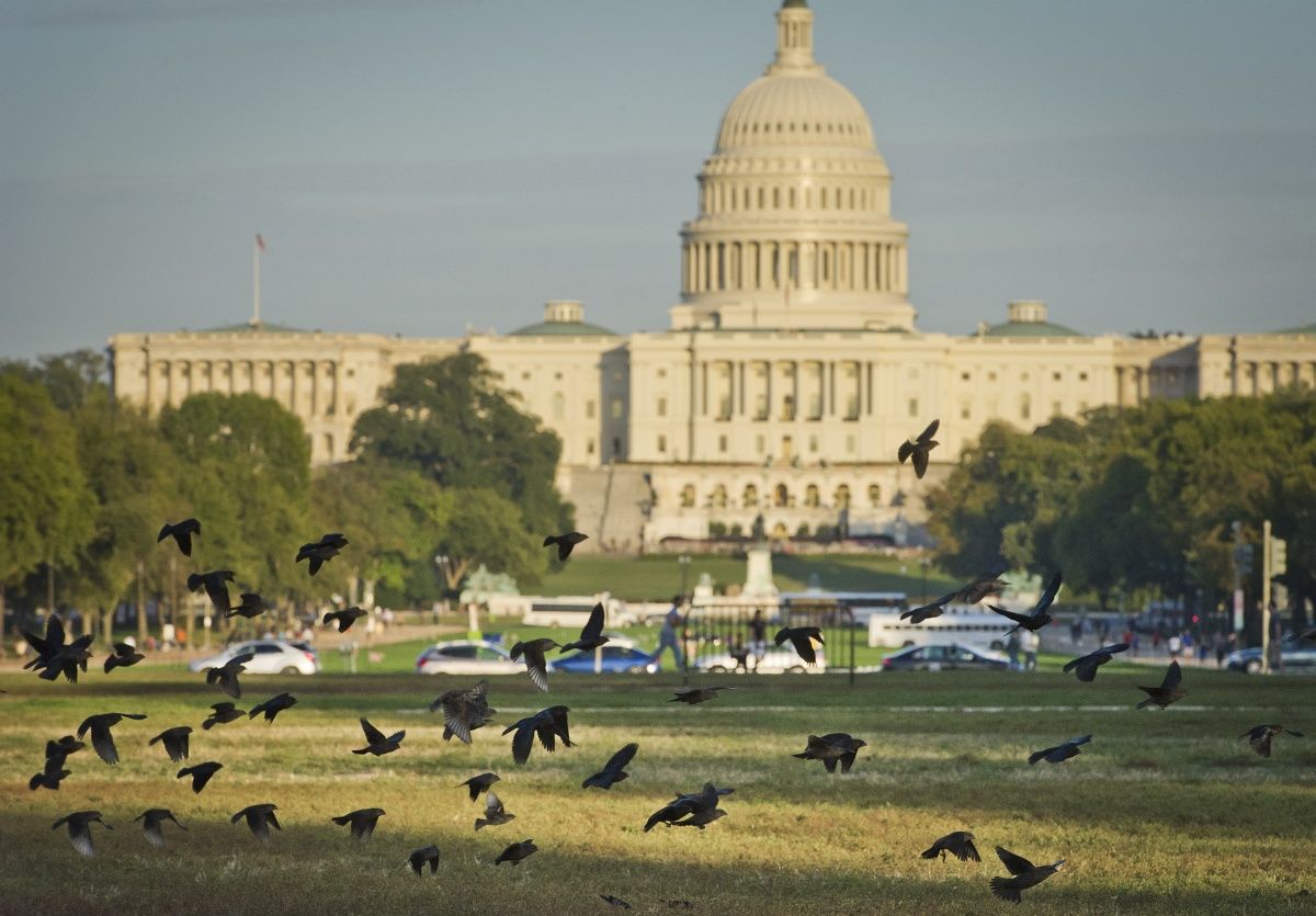 Tavaszi melegben karácsonyozhatnak a washingtoniak