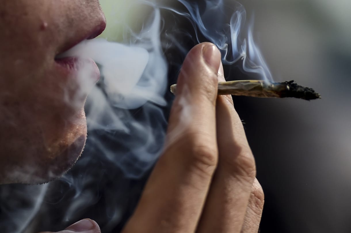 Biztató kísérlet: a kannabisz visszafordíthatja az agy öregedését