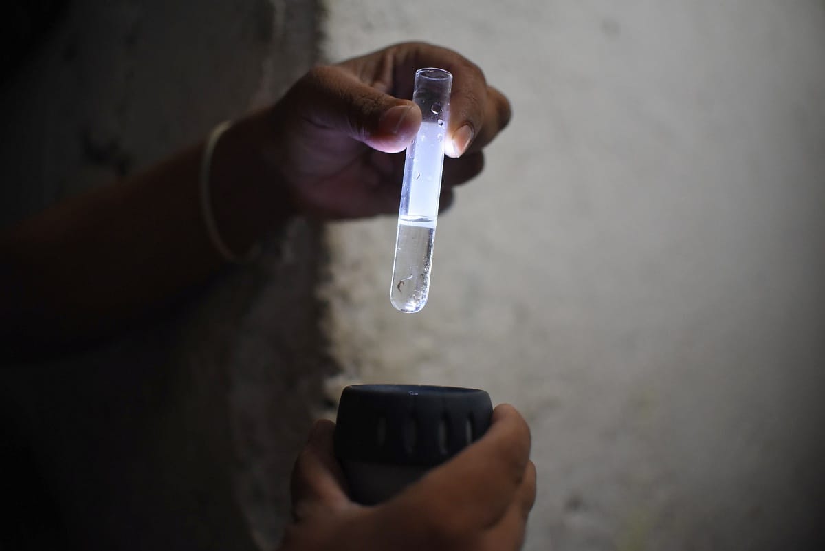 Olaszország - terjed a chikungunya-láz