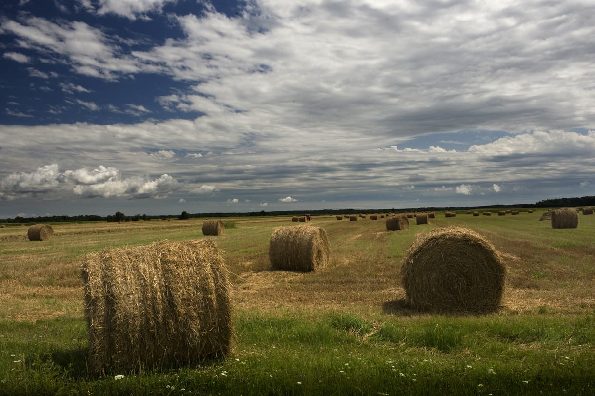 Az Agrárkamara tisztújításán a Fidesz diktál, de egyelőre nincs jele annak, hogy teljesítené az agrárbárók régi vágyát