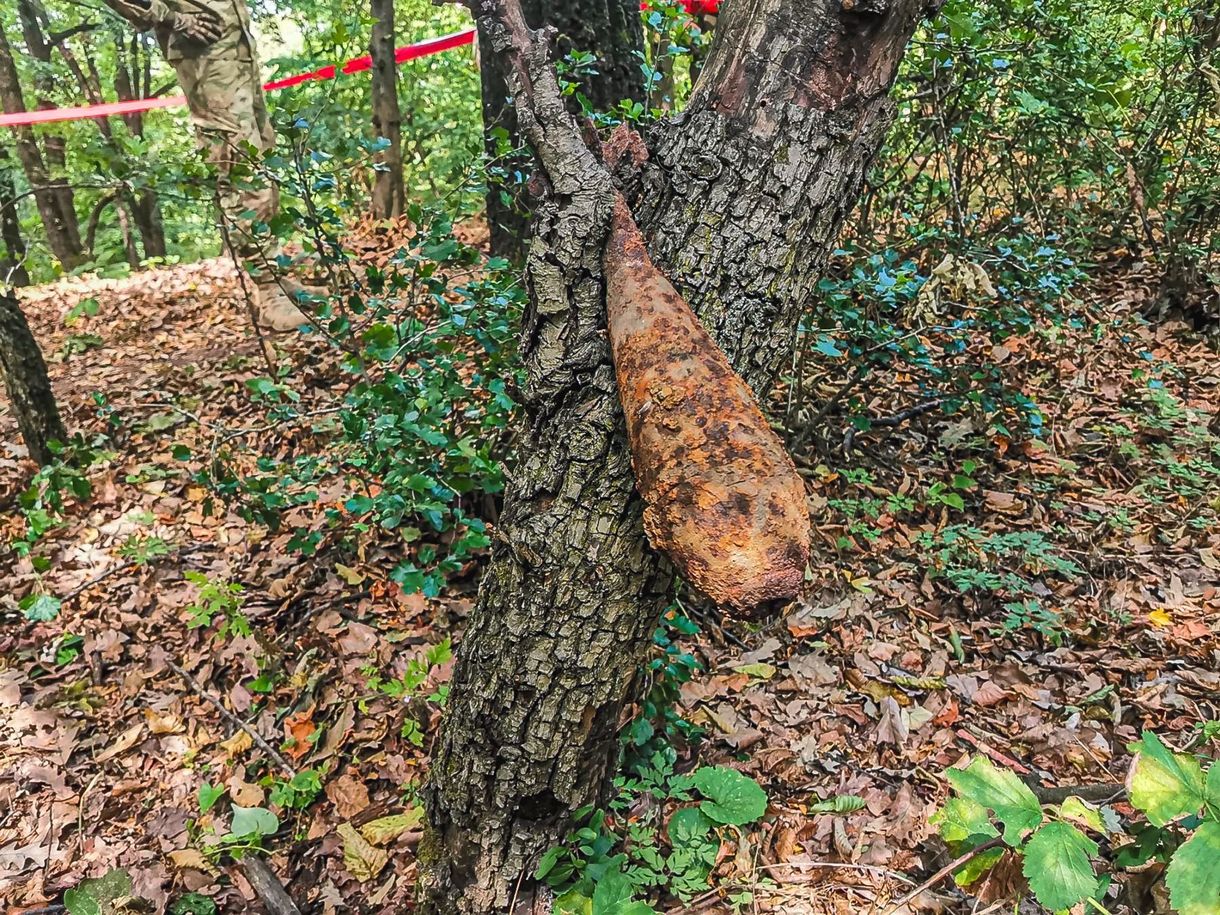 Elvitték a tűzszerészek a fába szorult gránátot a siroki erdőből