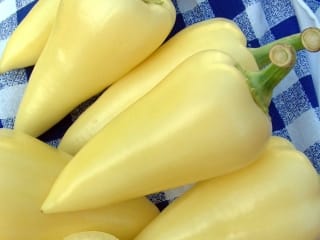 Oltalom alatt a szentesi paprika