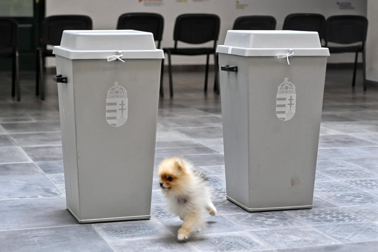 A Zugligeti Általános Iskola szavazóhelyisége