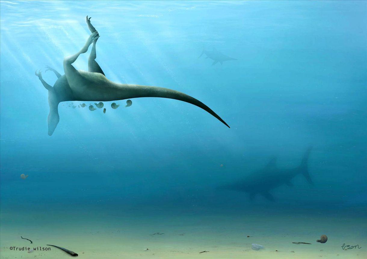 Különös csontú dinoszauruszfajt fedeztek fel a La Manche csatornában