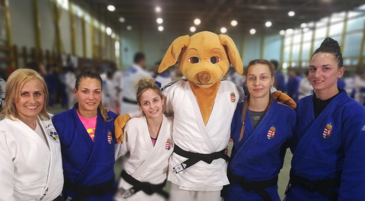Bol-dog beájulna: itt a budapesti dzsúdóvébé kabalája