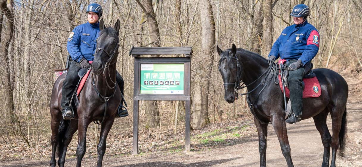 Lovas rendőrök vigyáznak a rendre a budai erdőkben