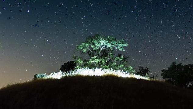 Zavargástól az állati test bomlásáig - minden belefért ebbe a lenyűgöző time-lapse videóba
