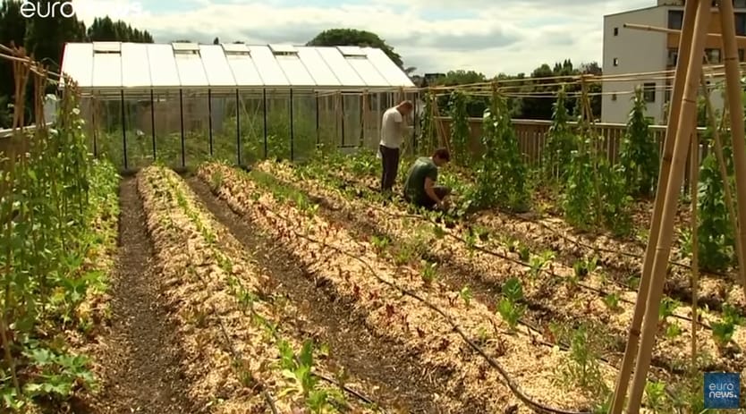 Van, aki nem napozni jár fel a tetőre Brüsszelben, hanem a veteményest kapálni – videó