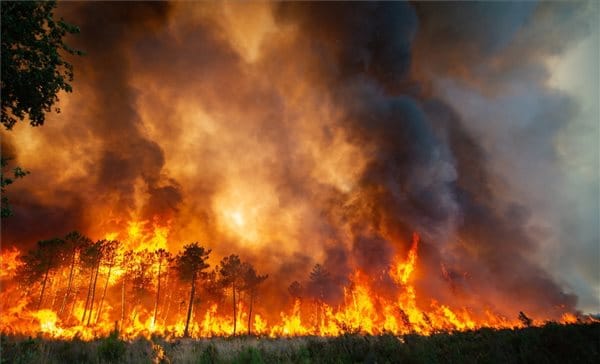 Óriási erdőtűz pusztít Franciaországban - fotók