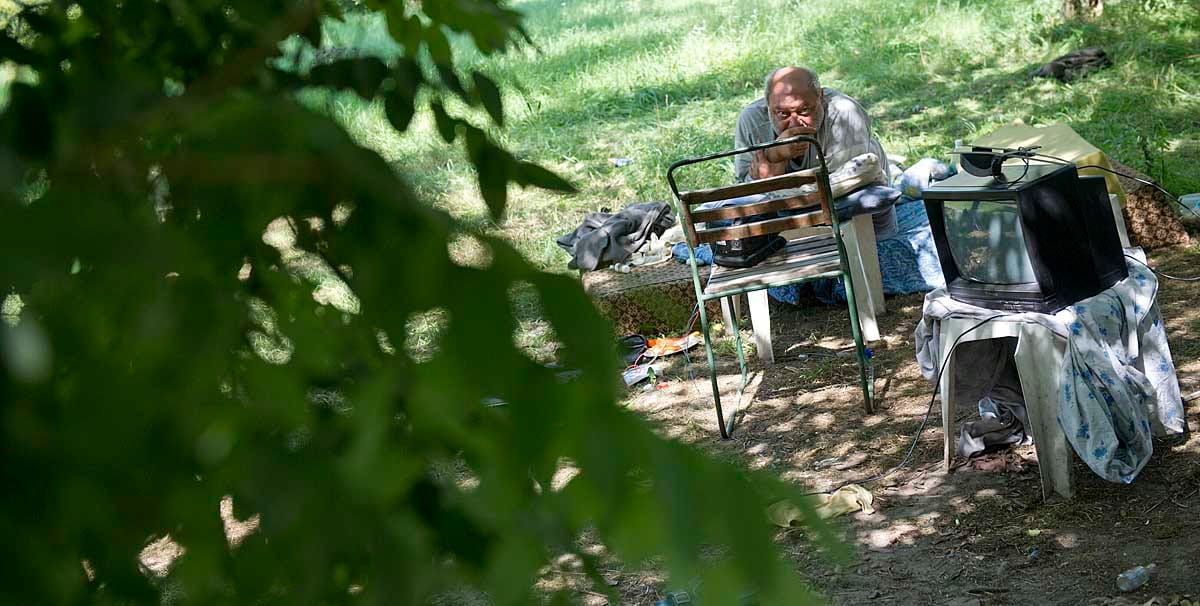 Vért izzadt a föld, bújt az üldözött a csepeli vadtelepen