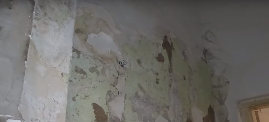 Rágcsálóürülékkel teli tofugyárat záratott be a Nébih – videó