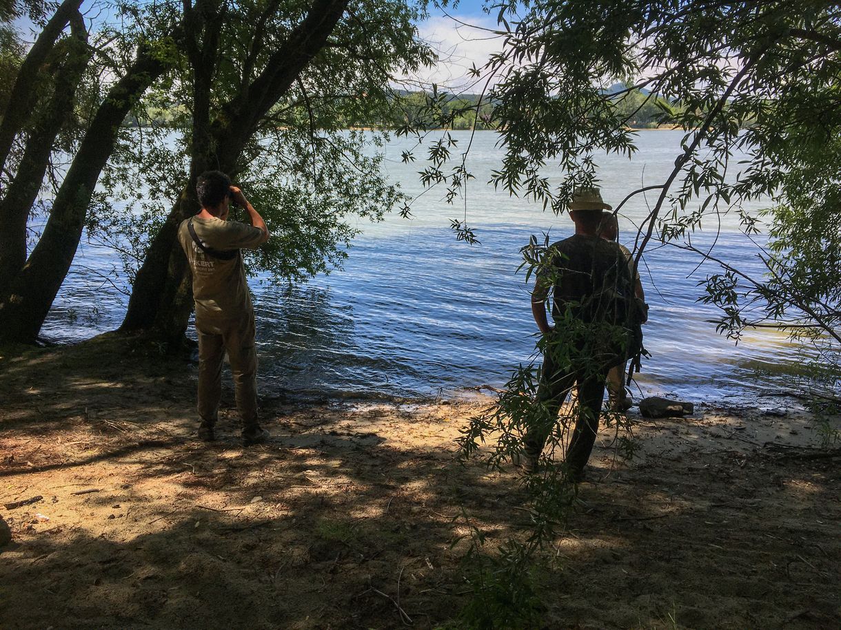 A Fidelitasnak üzentek, mi komolyan vettük: önkéntesnek jelentkeztünk a Főkerthez