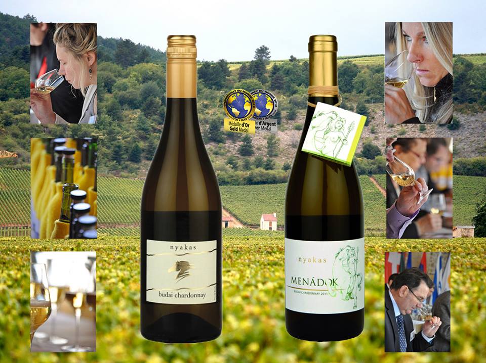 Magyar chardonnay a világ legjobbjai között