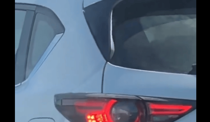 Hopp, most szállt be az a potyautas az autóba, akiről jobb, ha nem tudsz