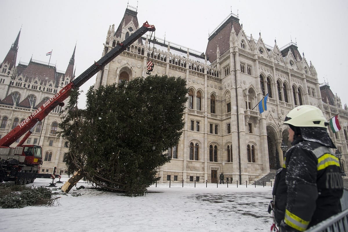 Miért január 6-án, vízkereszt napján kell leszedni a karácsonyfát?
