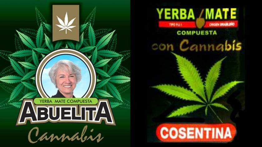 Suarezéknél a nagyi is ajánlja a kannabiszos teát
