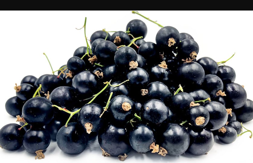 Evett már feketeribizlit étkezés után? Lehet, hogy kellene
