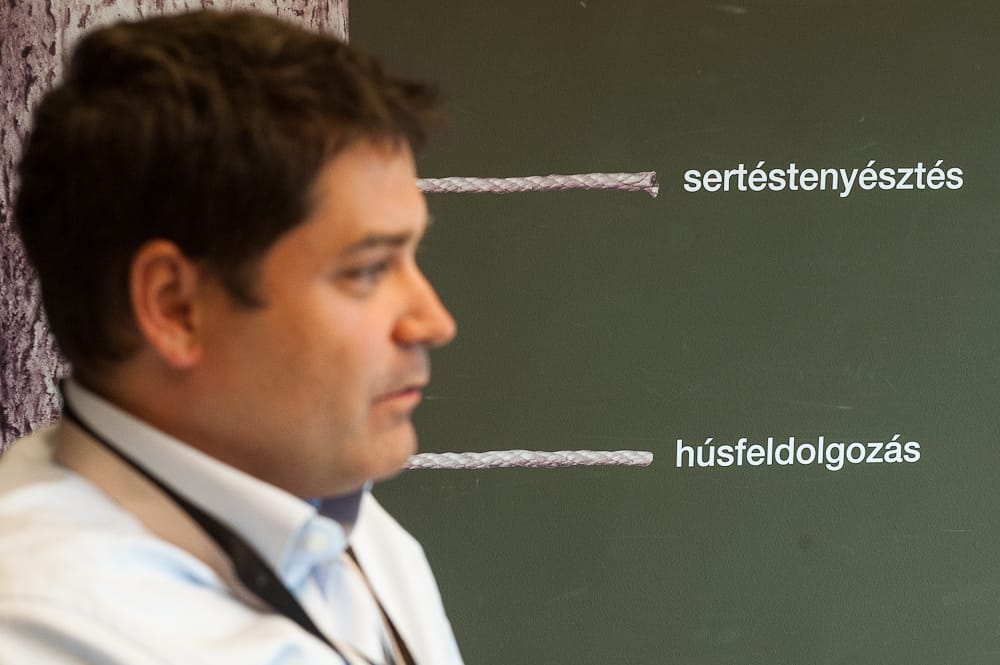 A hisztéria nemzetgazdaságilag indokolt – Csányi a Pickről és az importról  