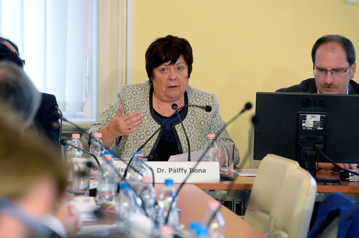 Pálffy Ilona: Várhatóan fél 10 körül jöhetnek az első adatok