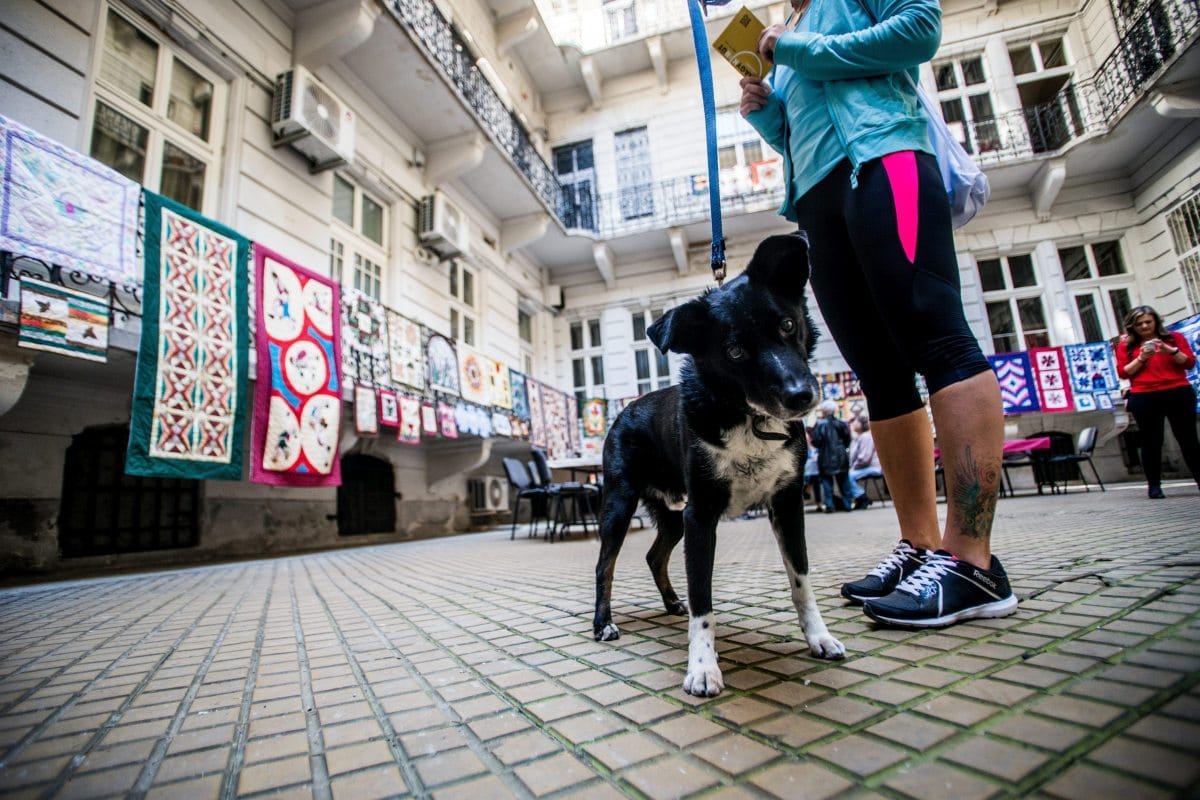 Budapest100: a Nagykörút után a rakparti házakba lehet majd bemenni körülnézni