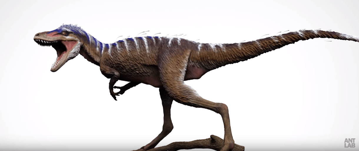 A tyrannosaurus is volt kicsi