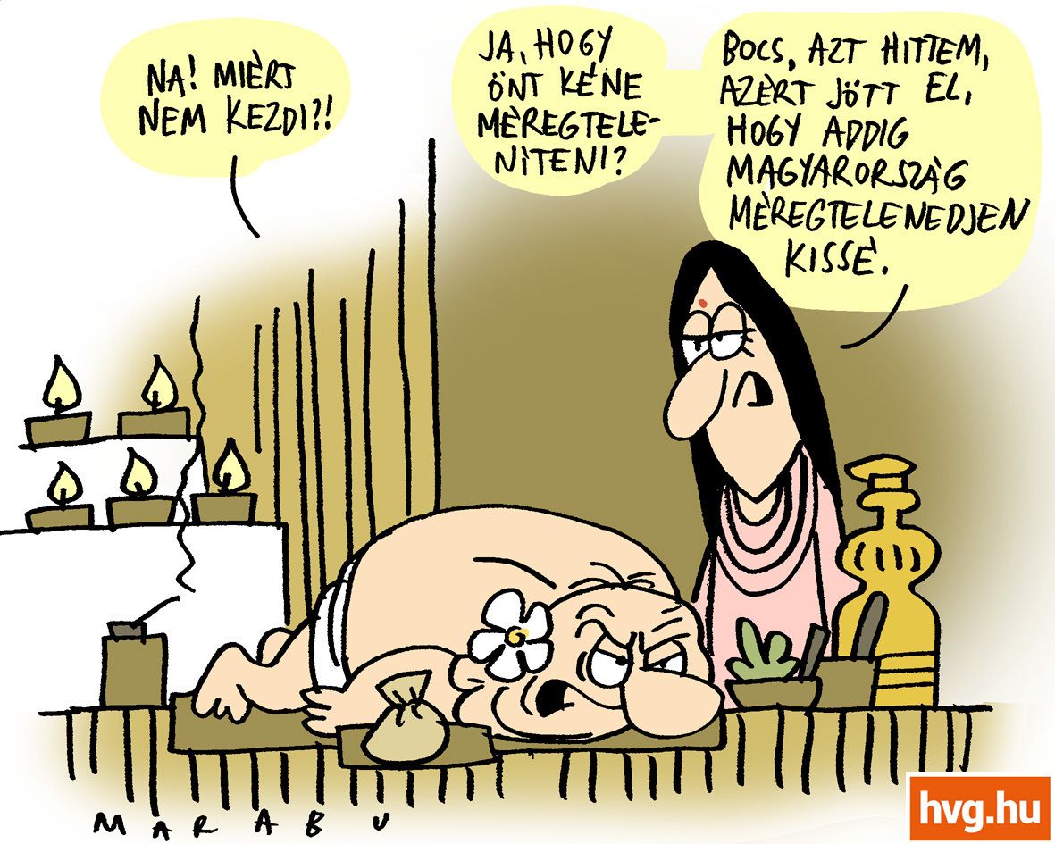 Marabu Féknyúz: Ájurvéda