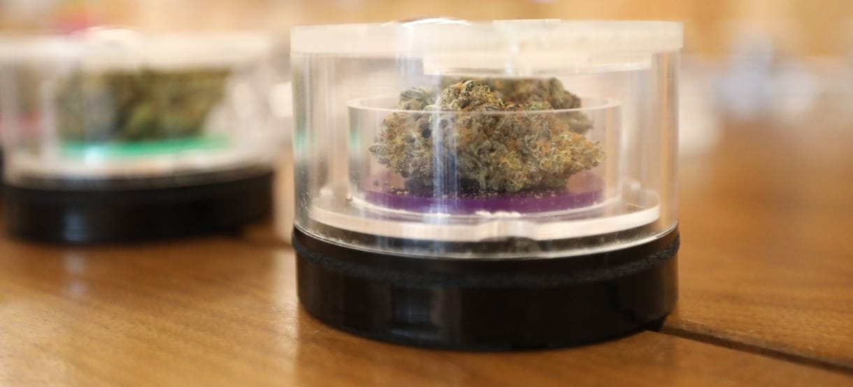 Az Európai Parlament ösztönözné az orvosi kannabisz használatát