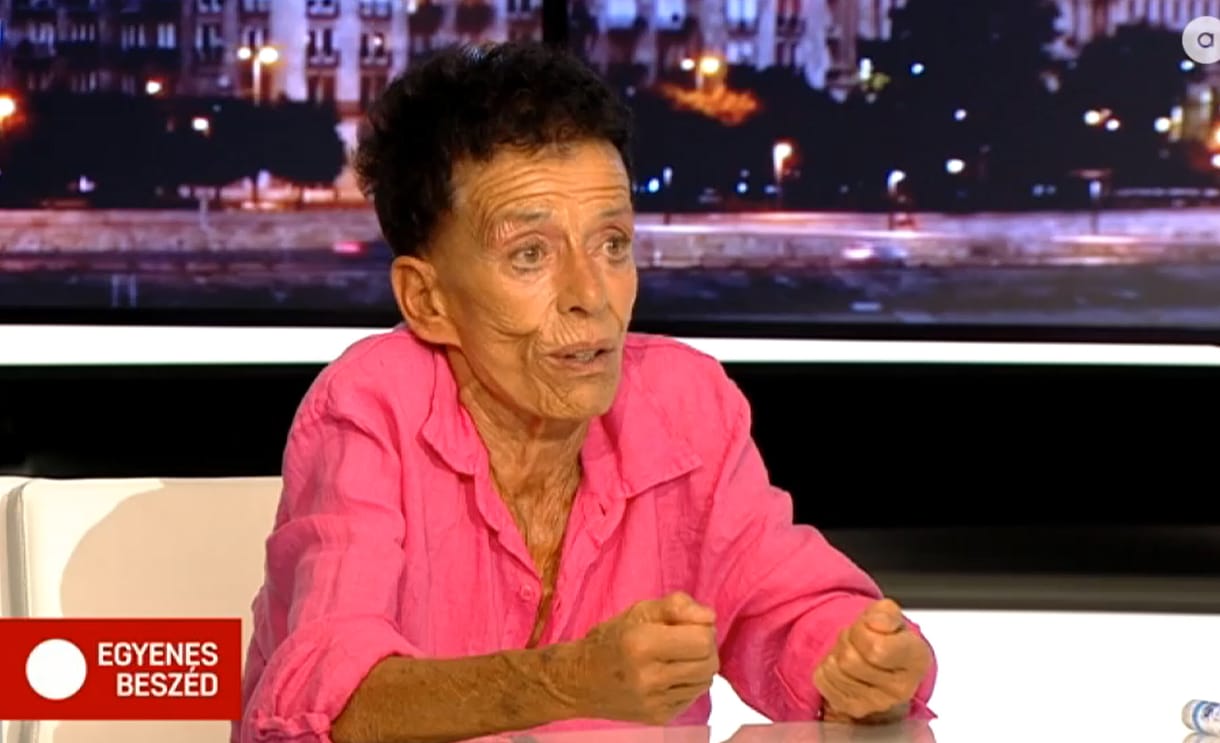 Hegedüs Zsuzsa: Négy év után minden kormányt el kell küldeni, mert elszáll az agyuk