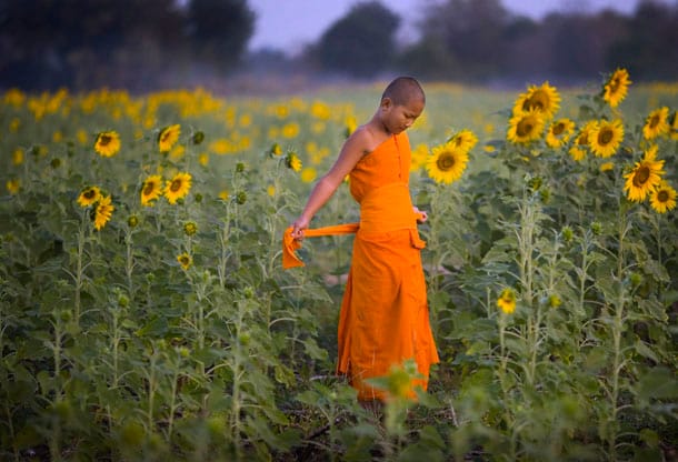 Aranyéletük van a buddhista szerzeteseknek