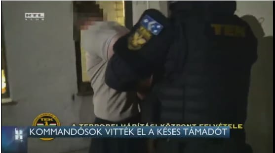 Kutyát ölt az agresszív férfi, kommandósok vitték el
