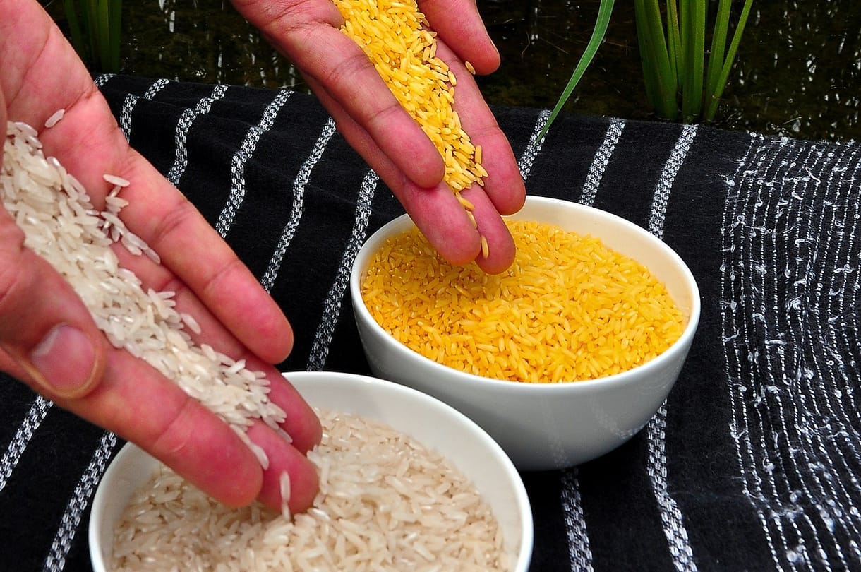 Odacsapna a magyar agráriumnak egy francia GMO-s törvénymódosítás