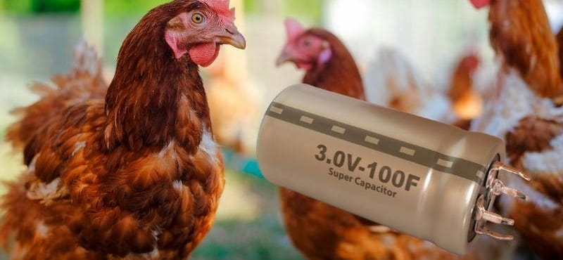 Csirkezsírból csináltak szuperkondenzátort, így lehet olcsóbb az energiatárolás
