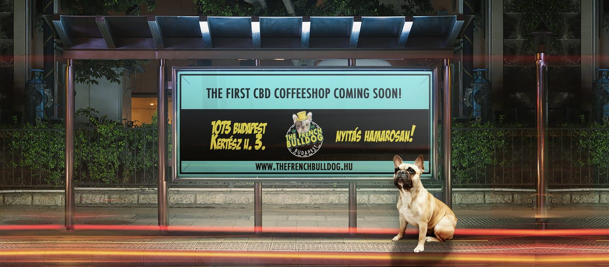 Börtönbe küldené az ügyészség az első budapesti „coffeeshop